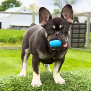 Buster